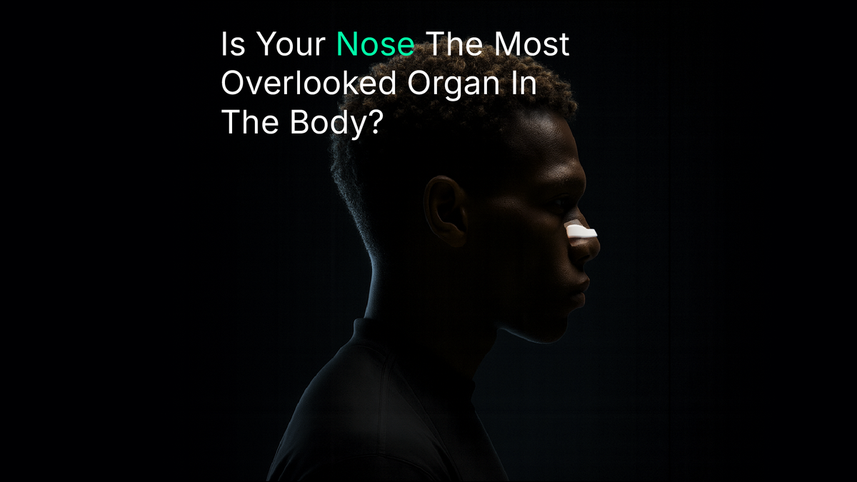 Better Breathing Is the Foundation of Health
